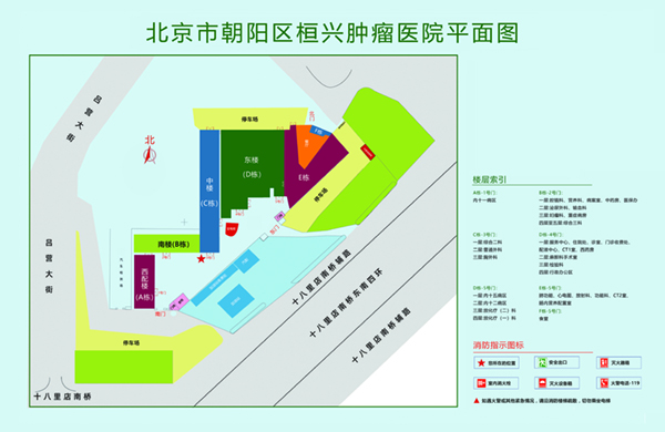 操死我的逼吧啊啊啊北京市朝阳区桓兴肿瘤医院平面图